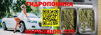 эйфоретик Ярославль