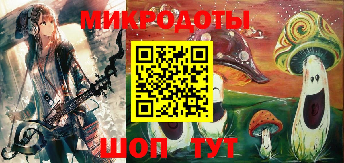 Галлюциногенные грибы Psilocybine cubensis Ачхой-Мартан